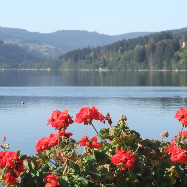 Die schönsten ausblick