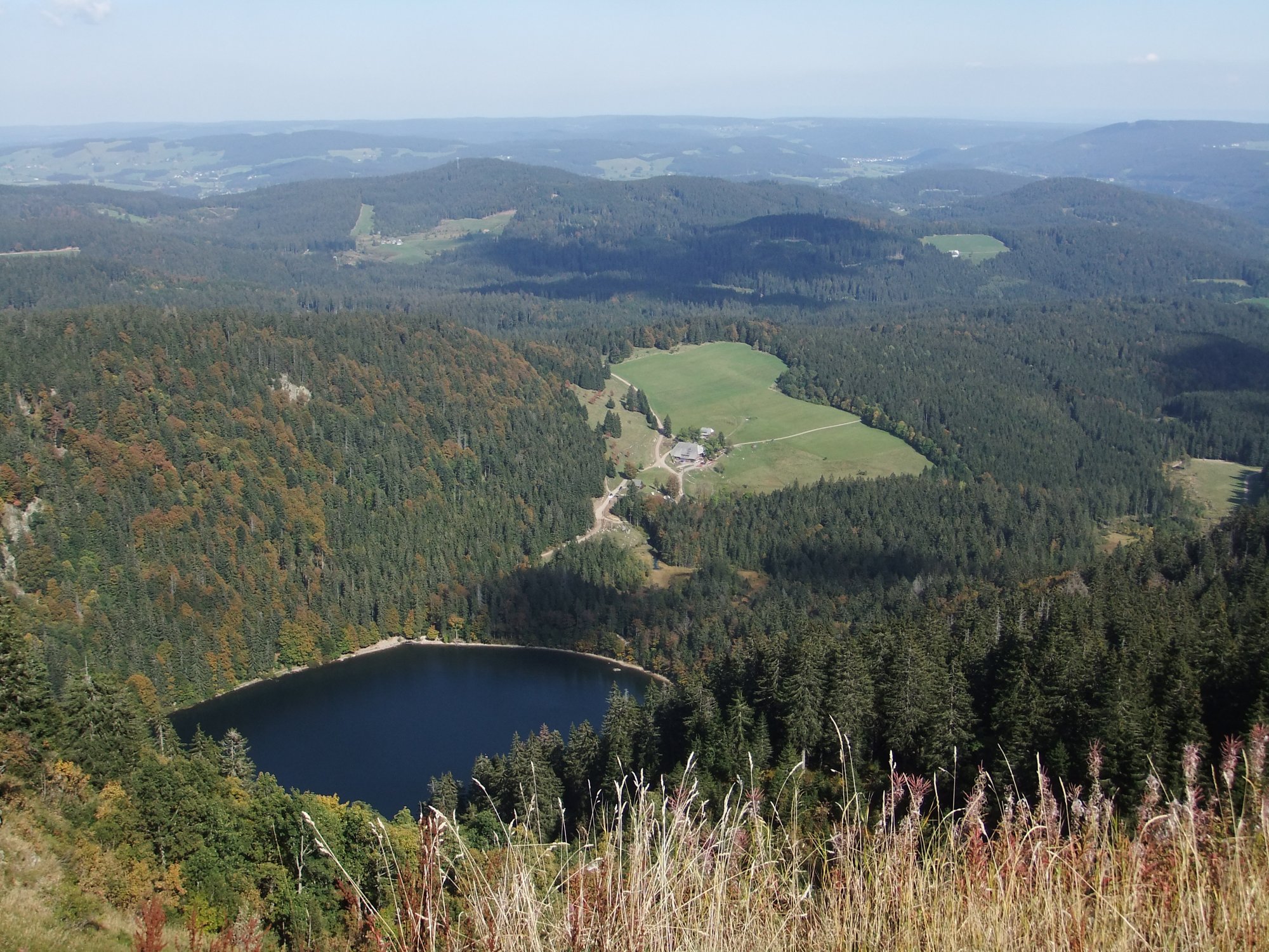 Feldsee