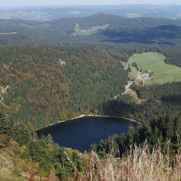 Feldsee