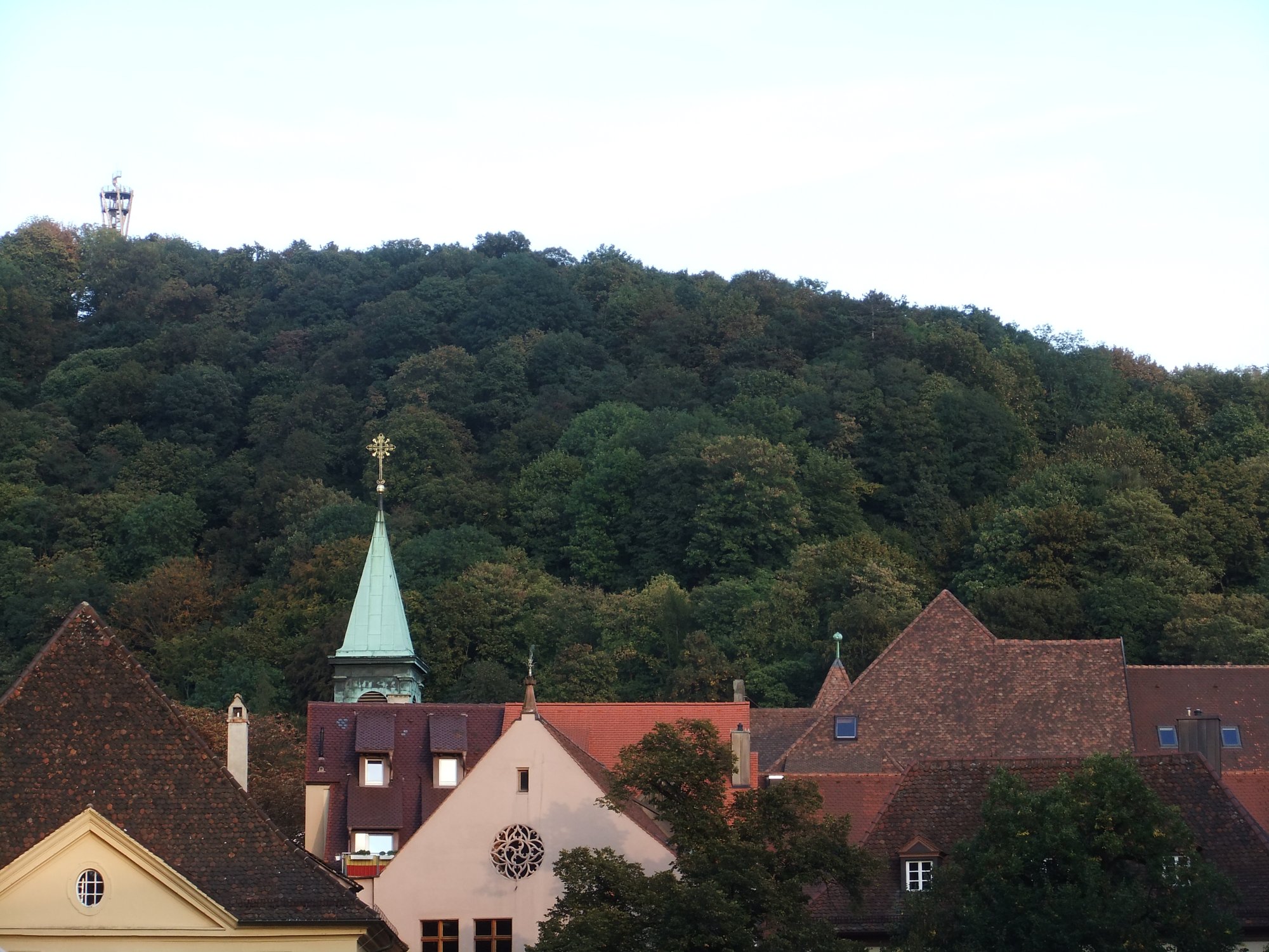 Freiburg waldgrenze