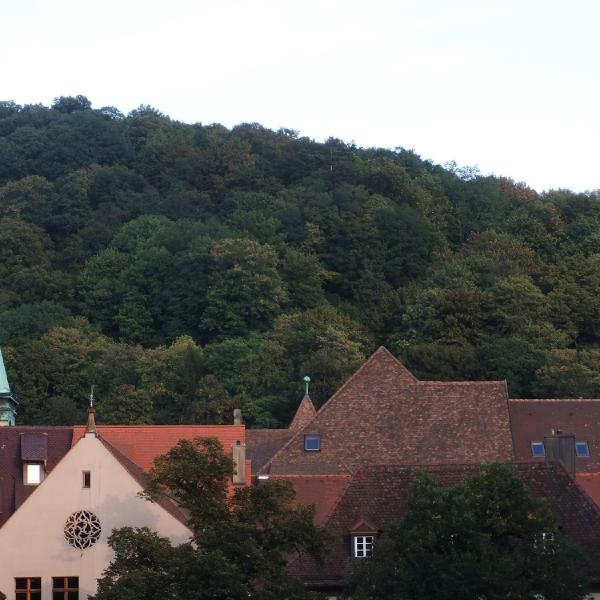 Freiburg waldgrenze