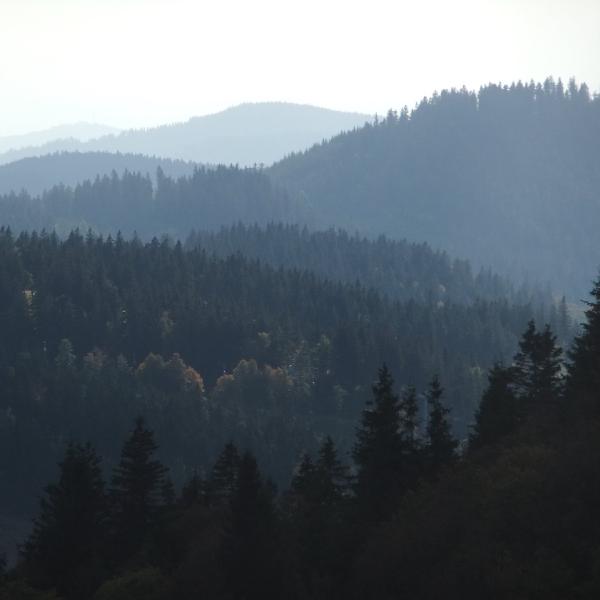 Hills into the distance