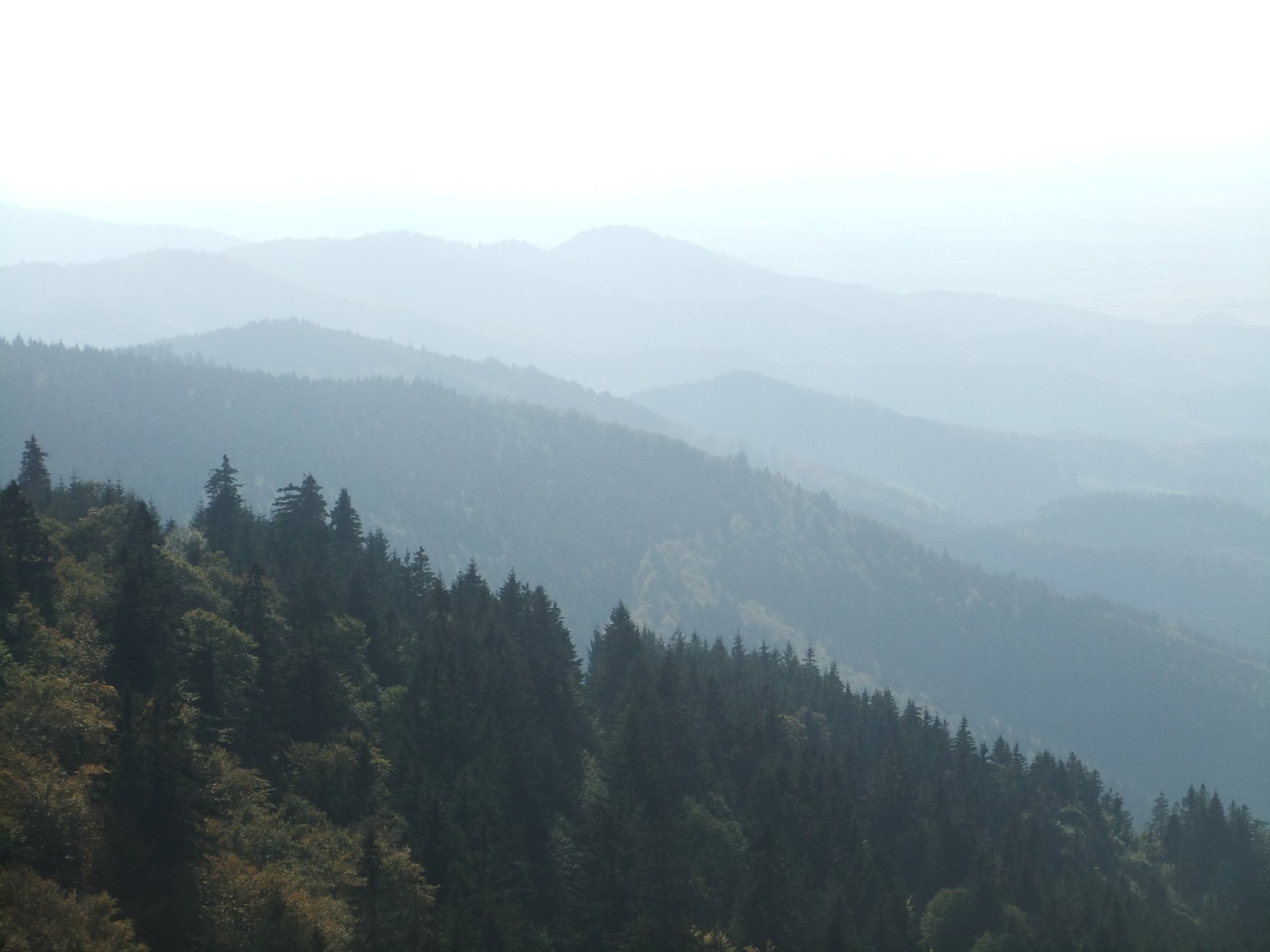 Hillside layering #2