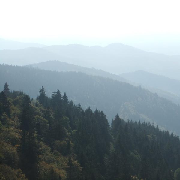 Hillside layering #2