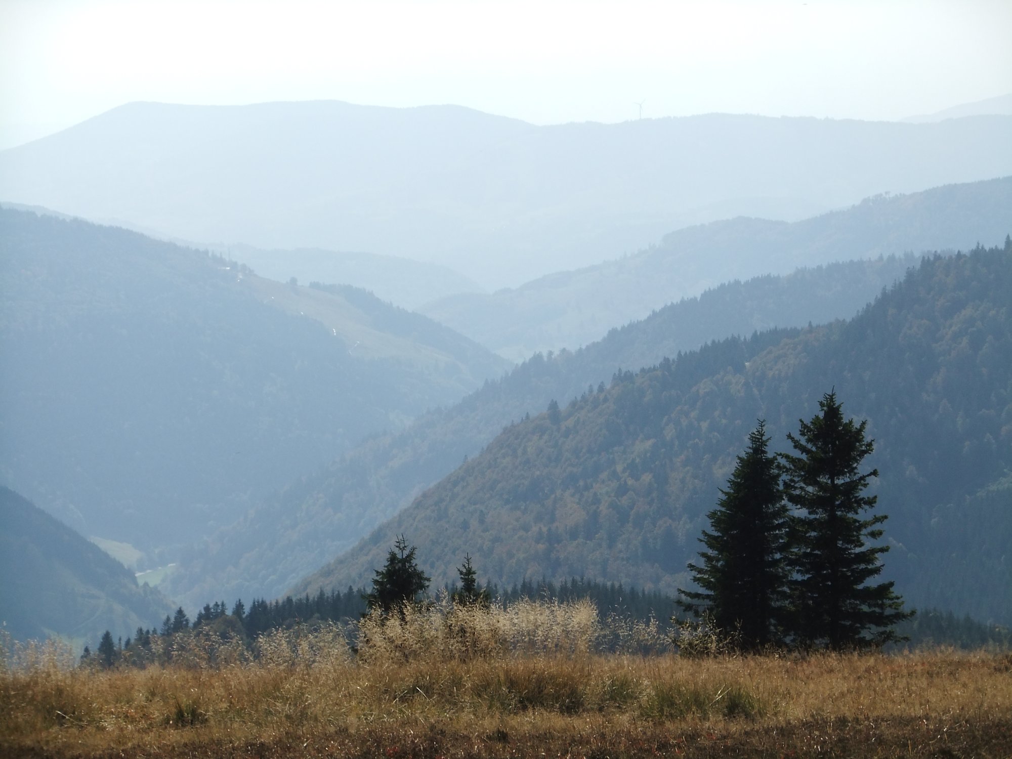 Looking at the landscape
