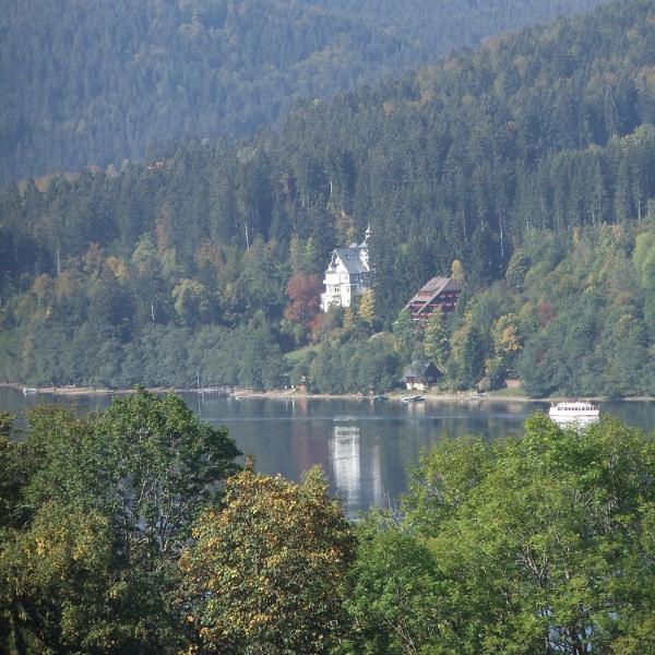 Overlooking the lake