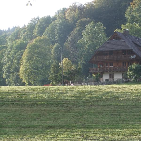 Overlooking the land