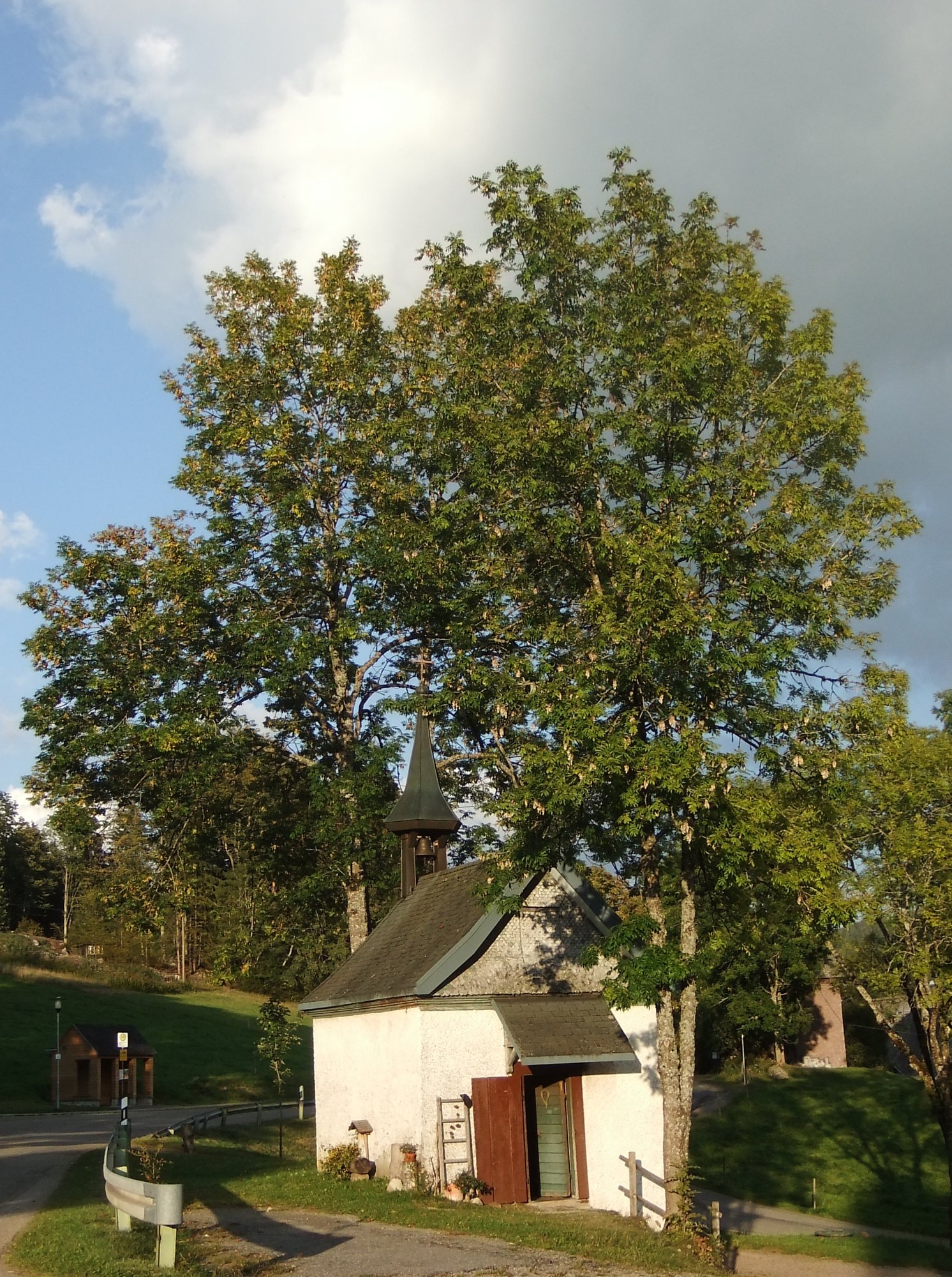 Tiny church