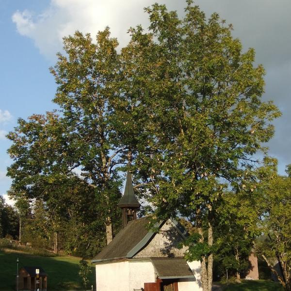 Tiny church