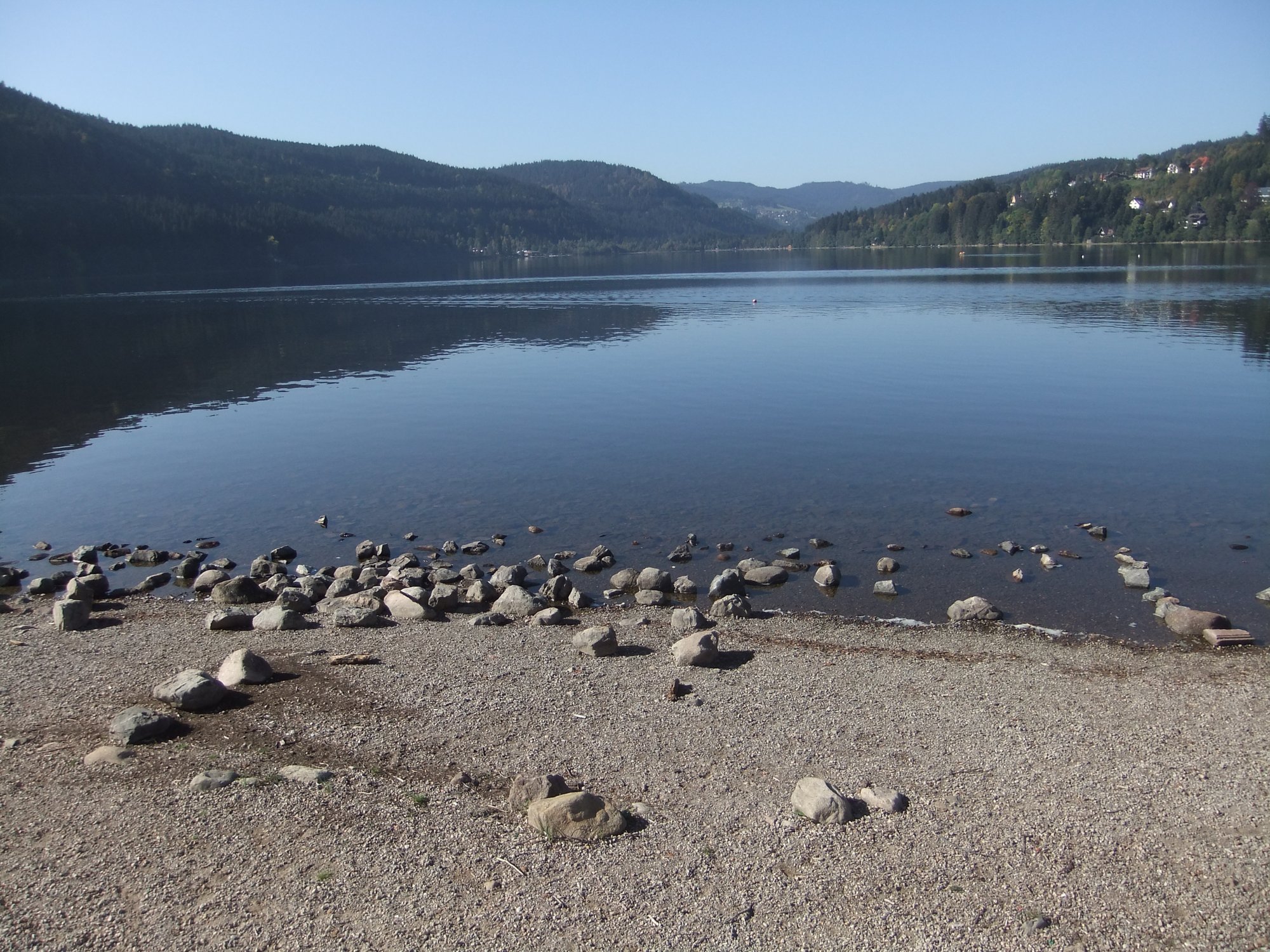 Titisee from the beach