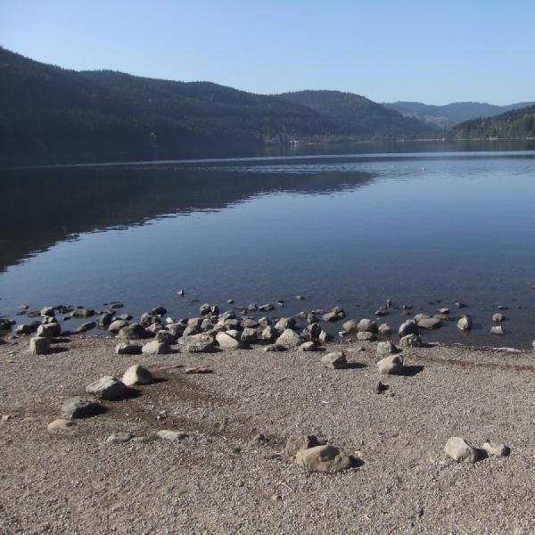 Titisee from the beach