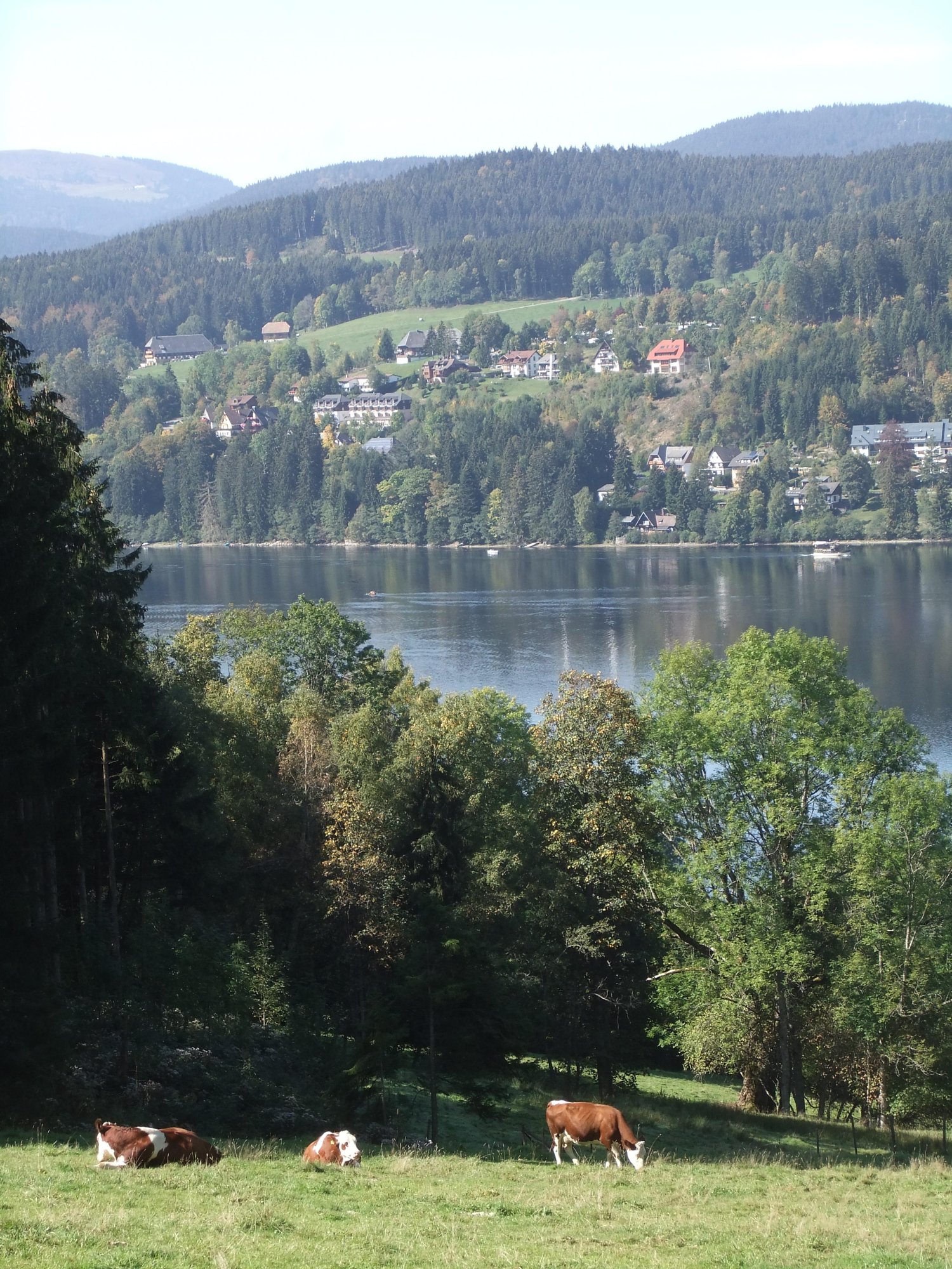 Titisee from the fields