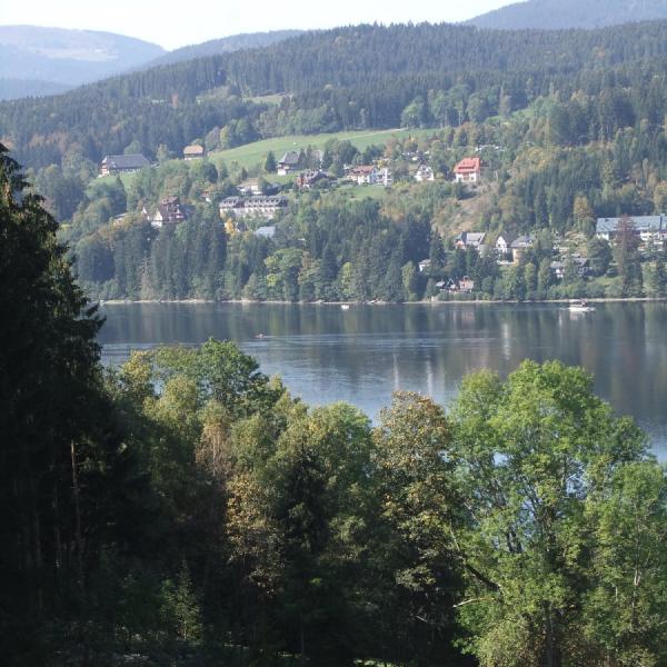 Titisee from the fields
