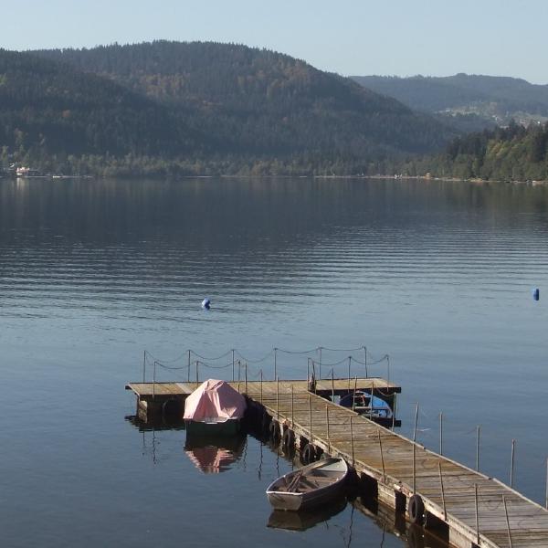 Titisee pier