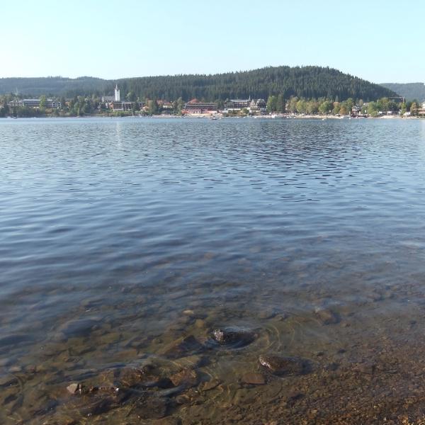 Titisee strand