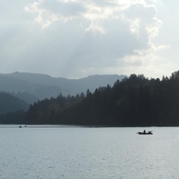 Titisee umgebung