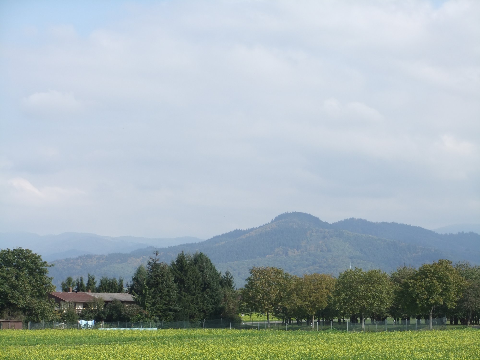 To the hills