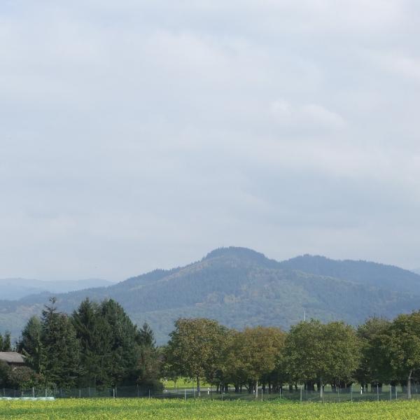 To the hills