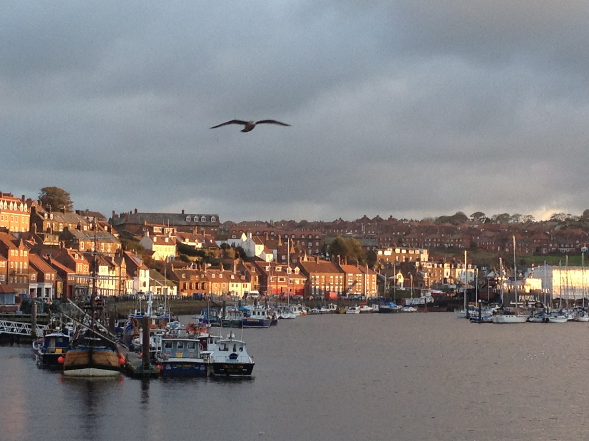 Whitby harbour