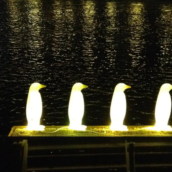 Illuminated penguins