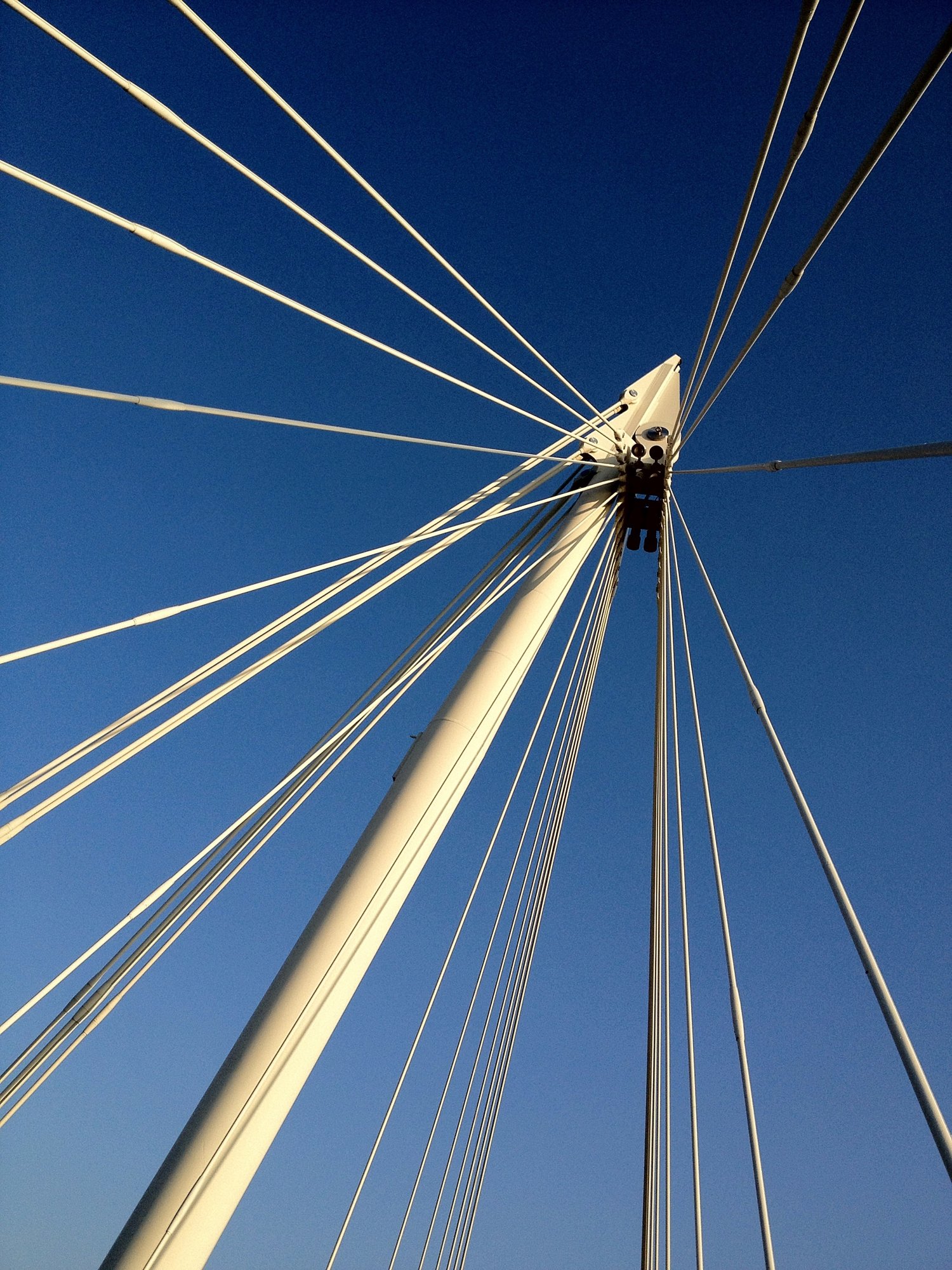 Bridge tentacles