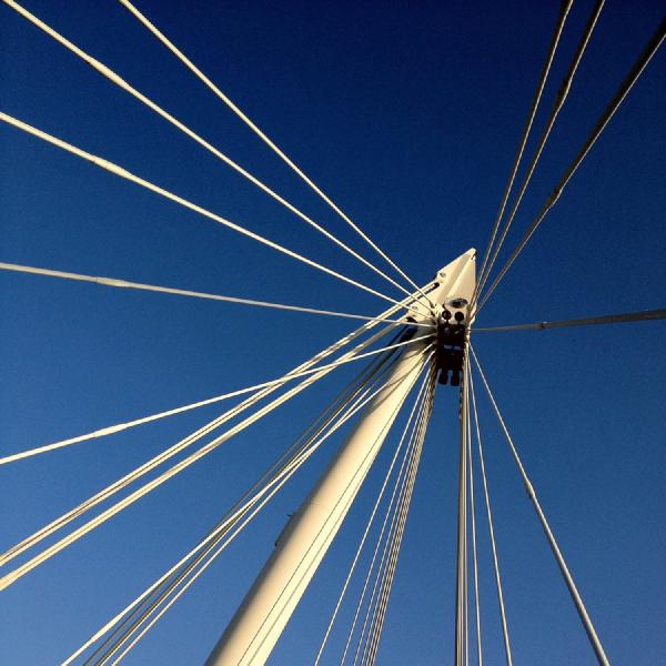 Bridge tentacles