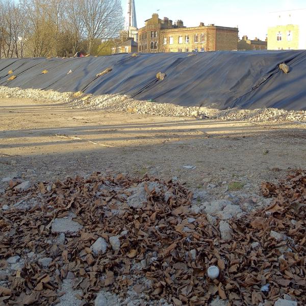 Southwark regeneration
