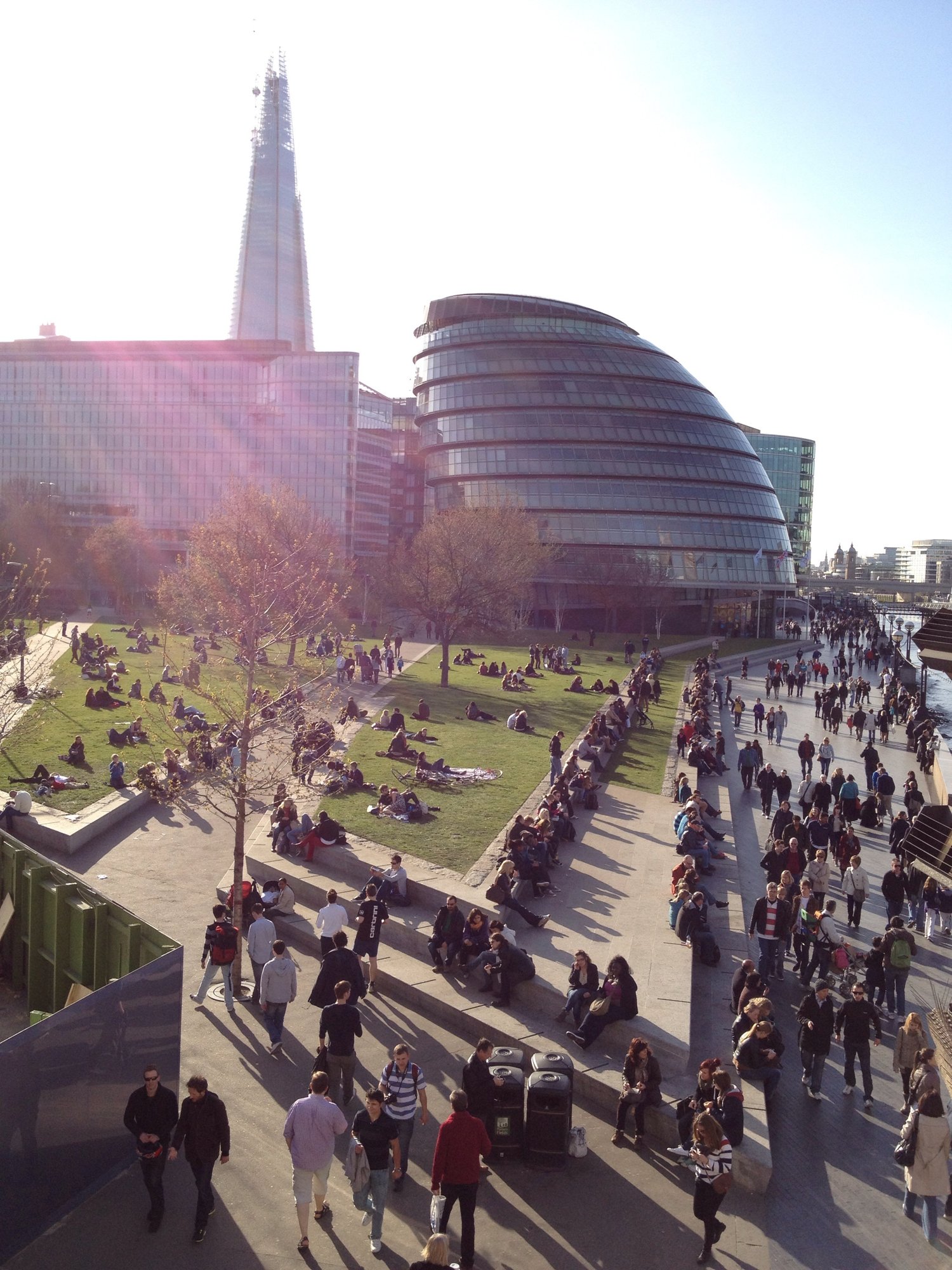 Sunshine at City Hall