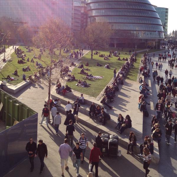 Sunshine at City Hall
