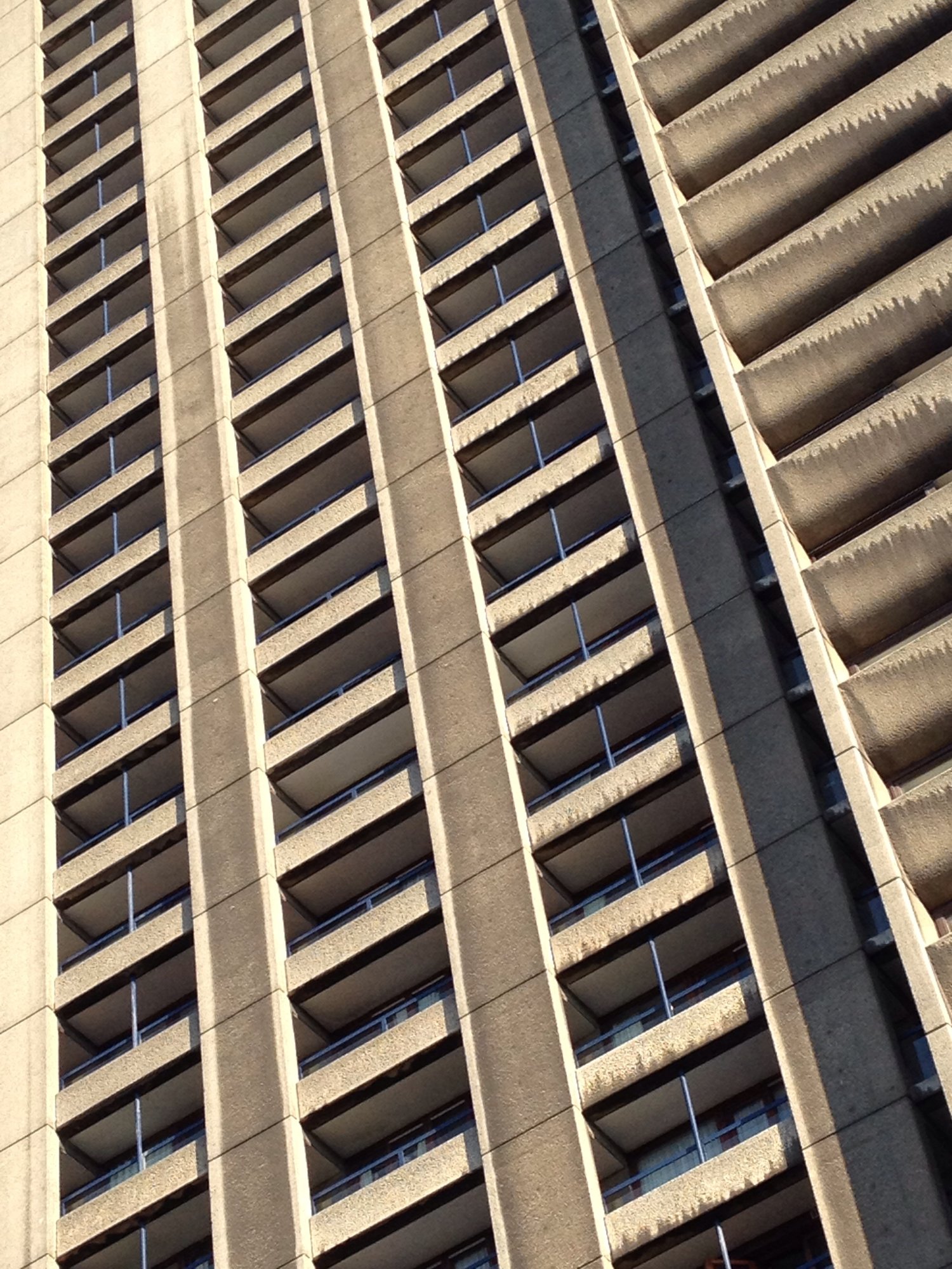 Concrete living