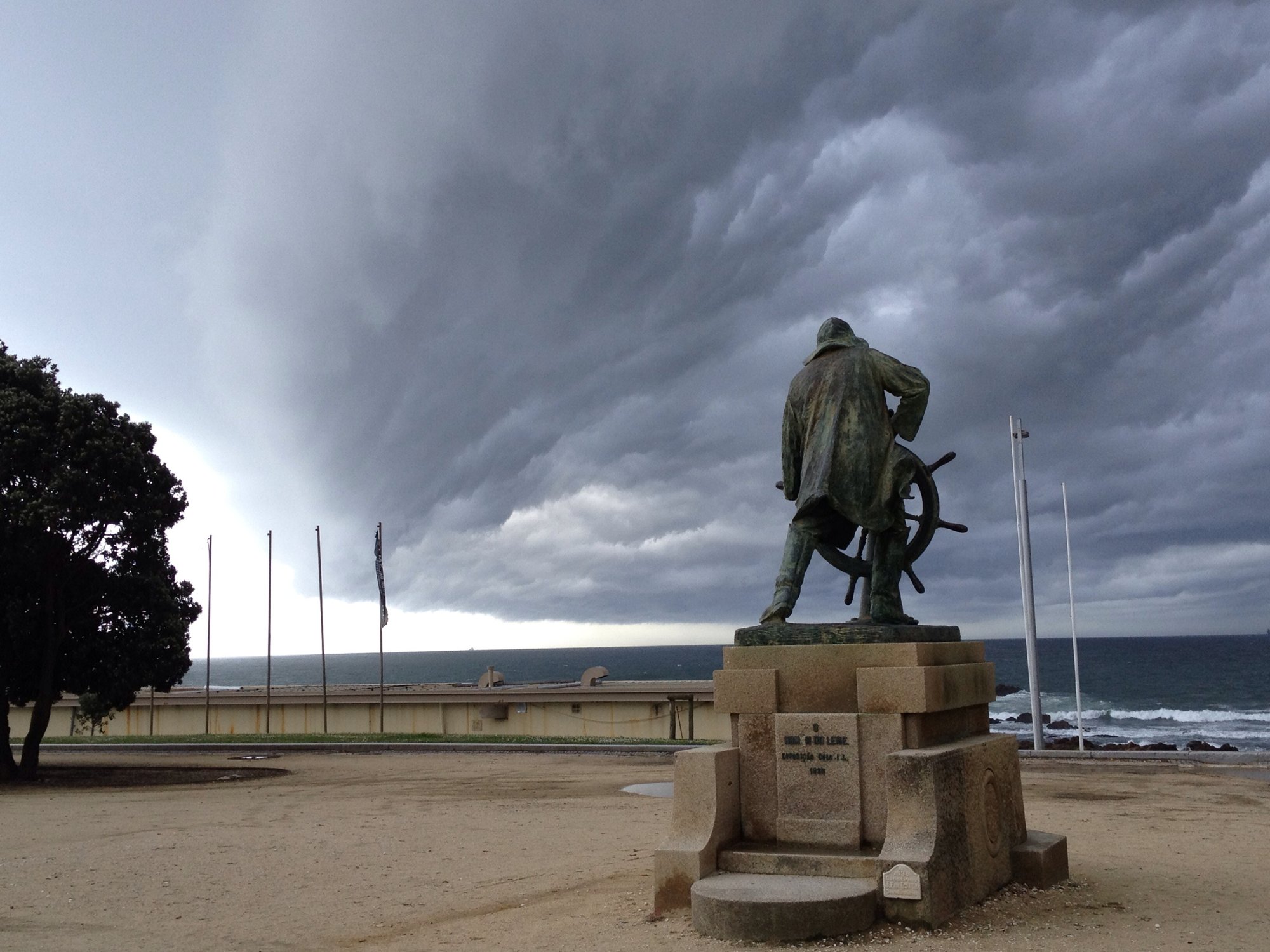 Sailing through the storm
