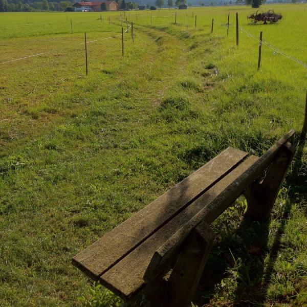 A bench with a view