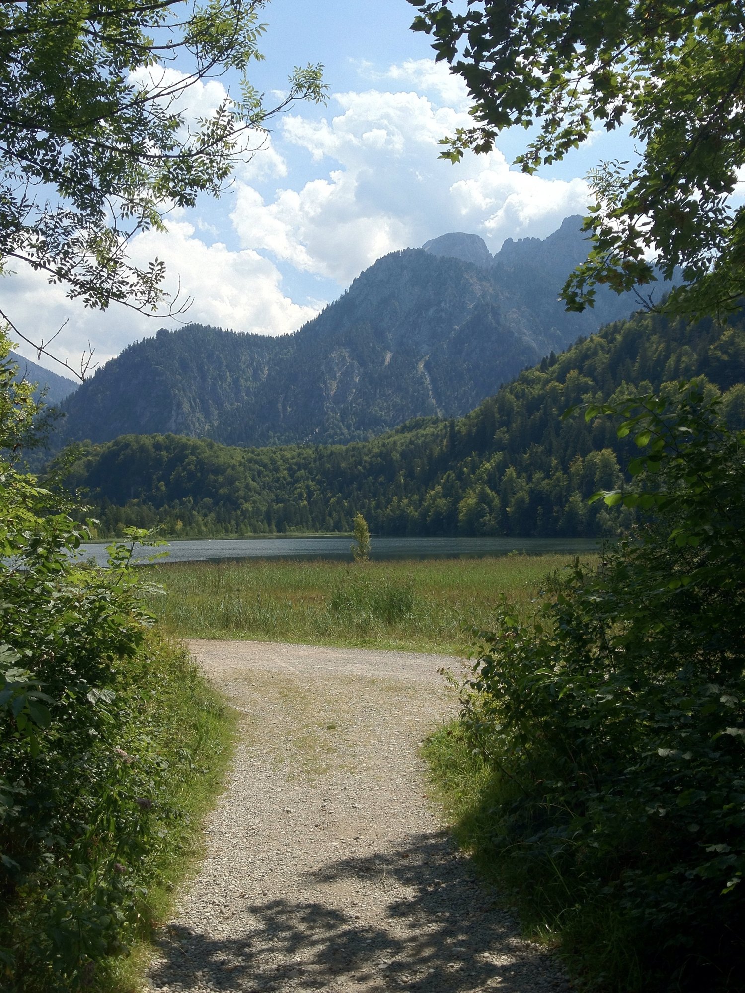 Alpenblick