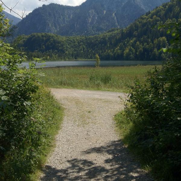 Alpenblick