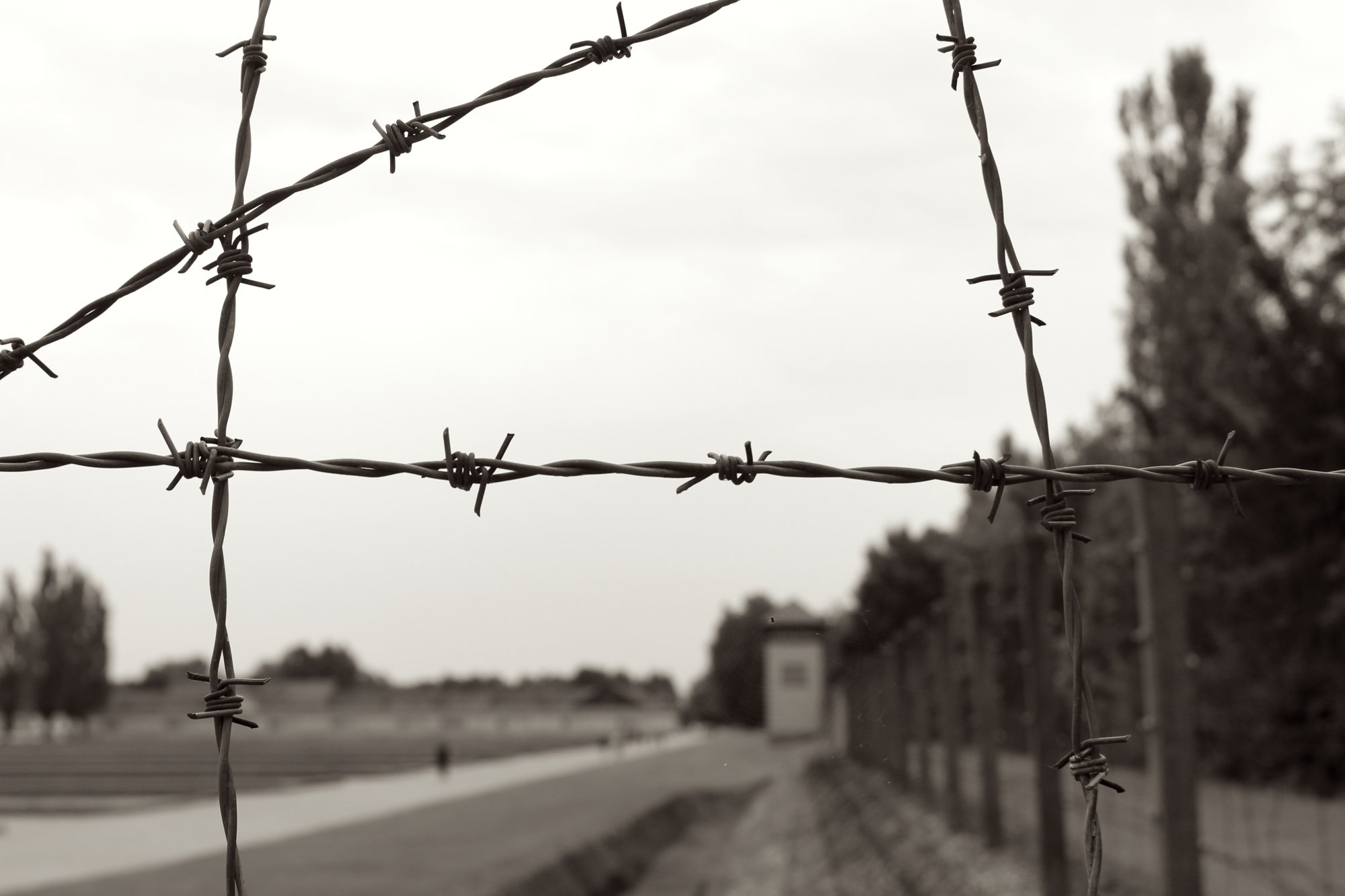 Barbed wire