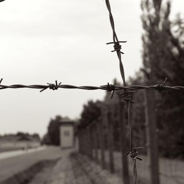 Barbed wire