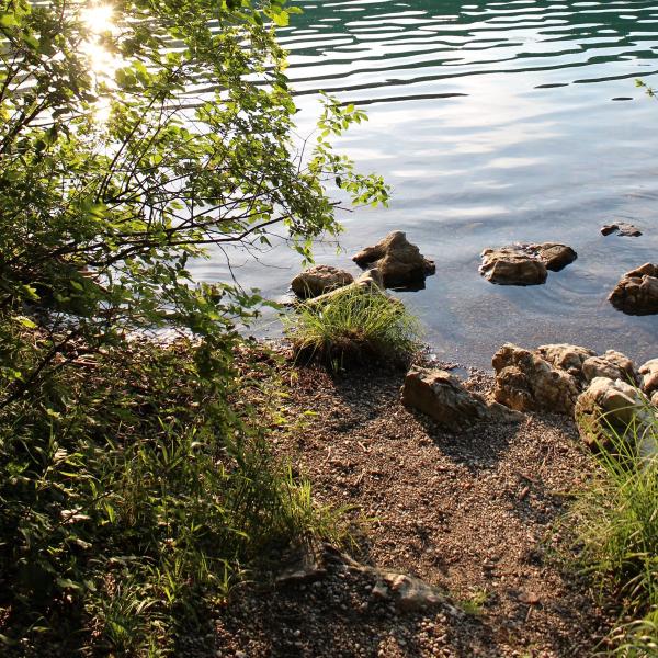 Bathing spot