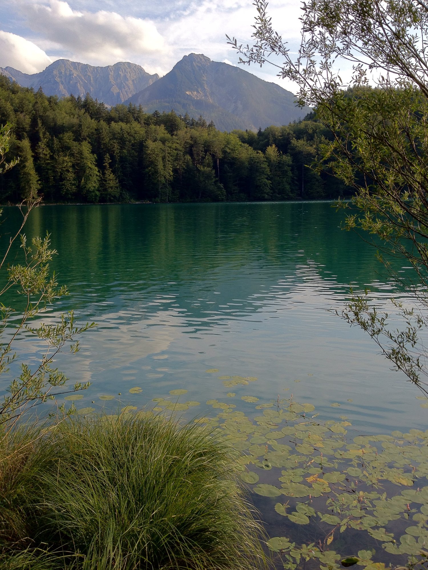 Grüße aus Allgäu