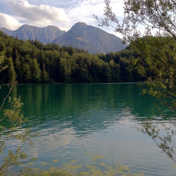 Grüße aus Allgäu