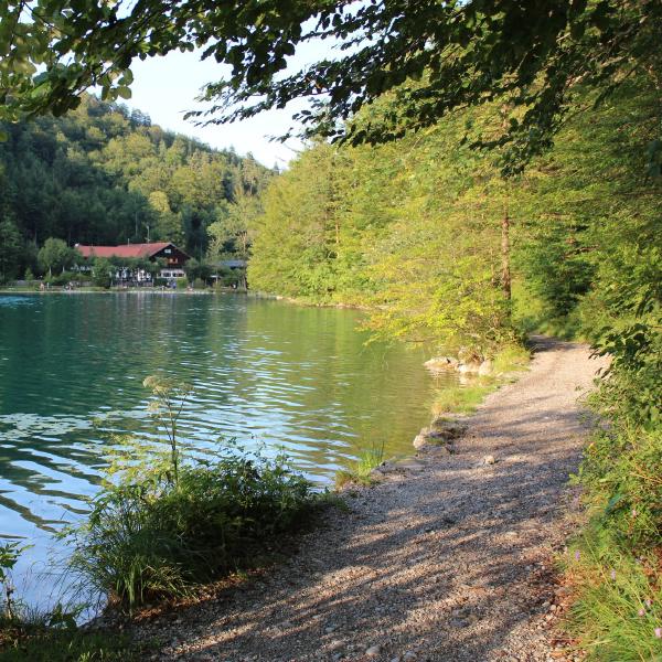 Lakeside walk