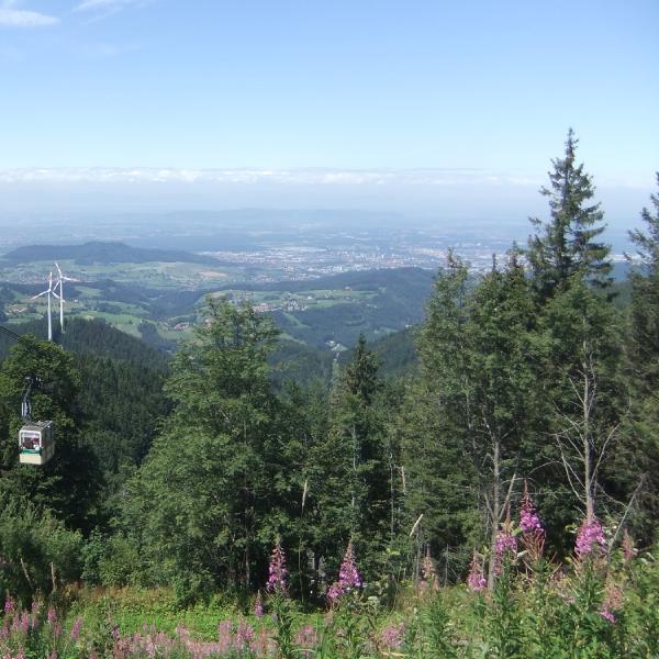 Schauinsland