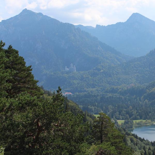 Schwansee