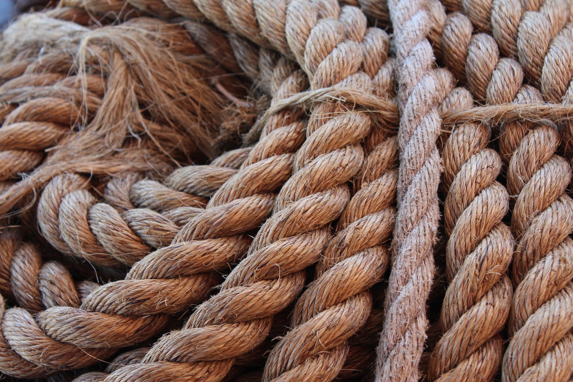 End of the coil