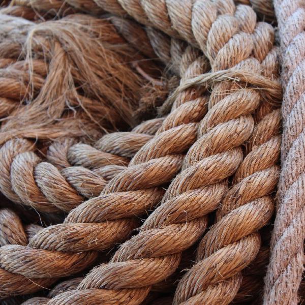 End of the coil