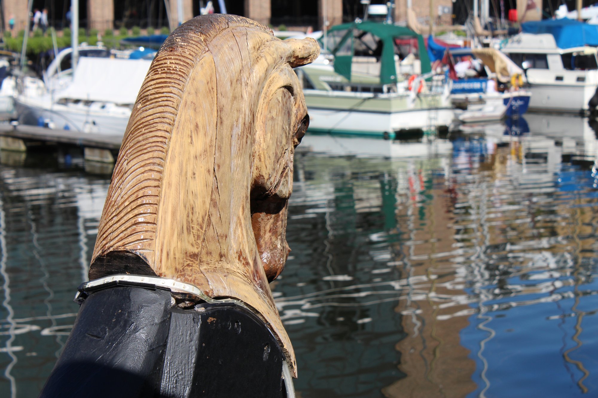 Phoenician Head