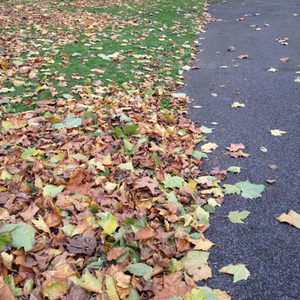 Southwark Park in Autumn