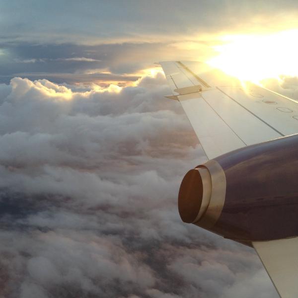 Light on the wing