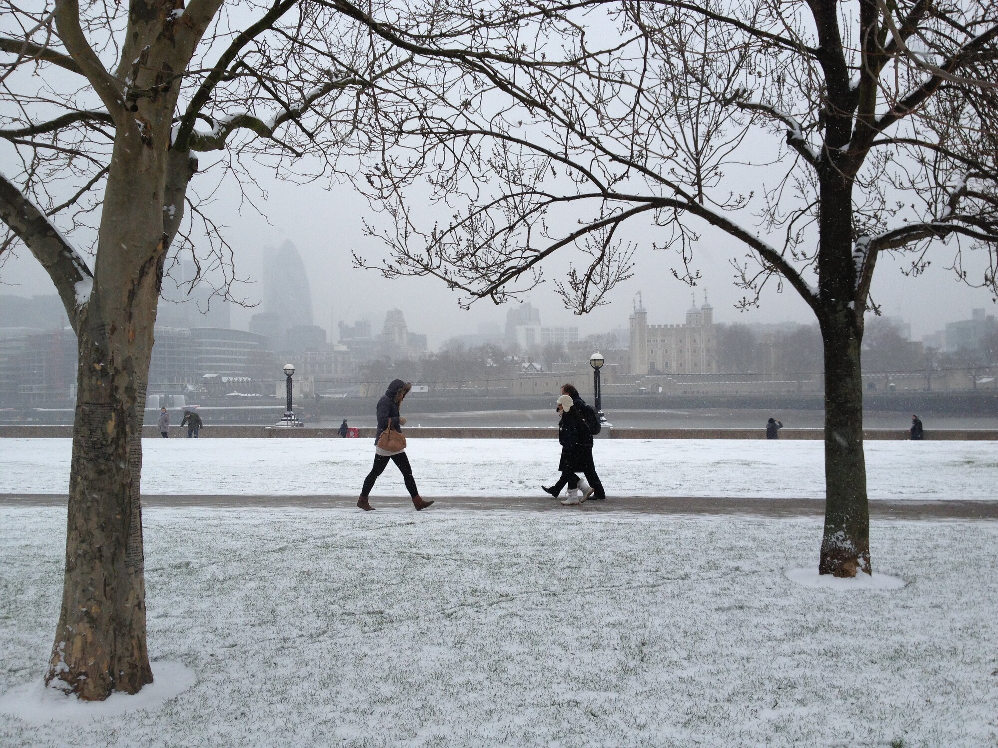 A walk in the park