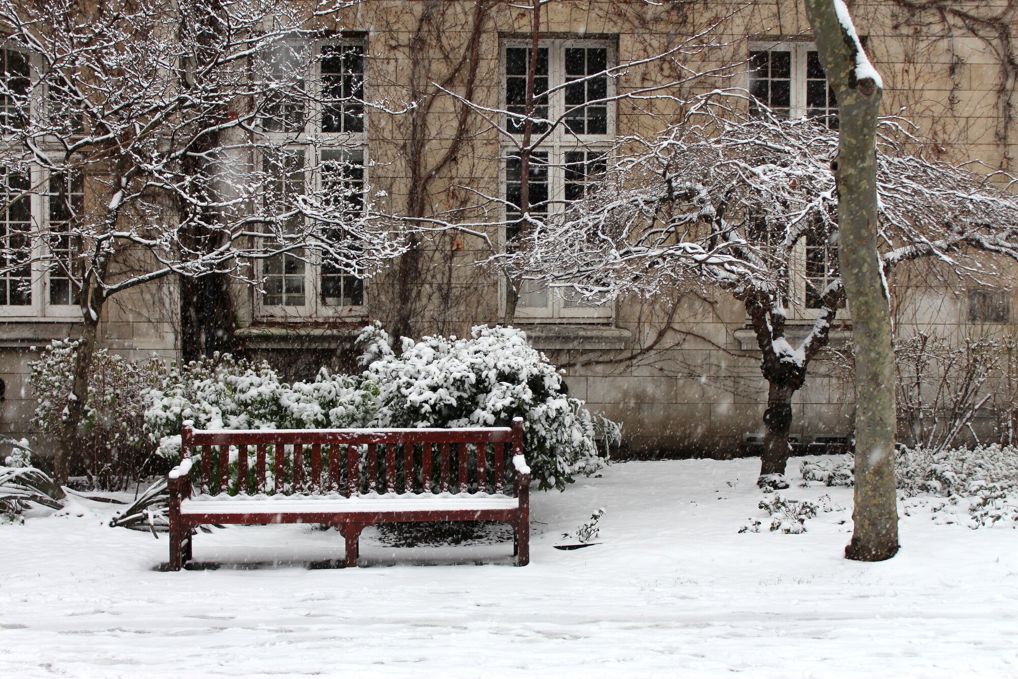 Bench in the snow