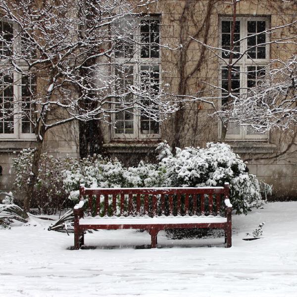 Bench in the snow